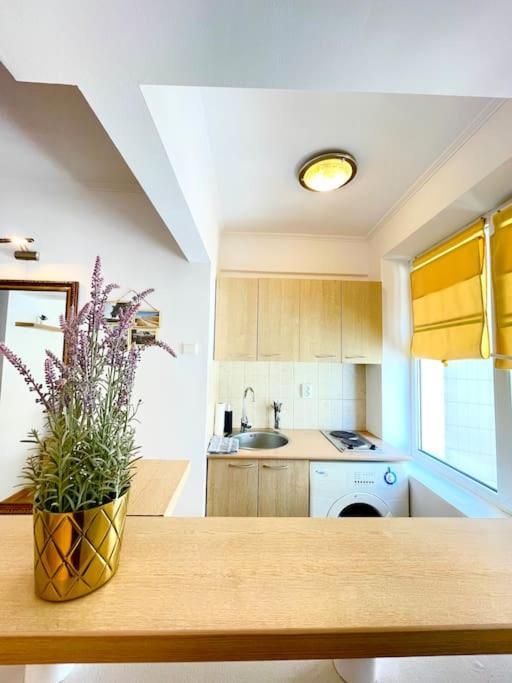 Boutique Apartment In The Bucharest City Center Екстер'єр фото